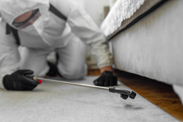 Professional Bed Bug Control technician working in Lexington, OK