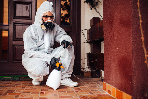 Reliable Bed Bug Control contractor in Lexington, OK by Nex Pest Control
